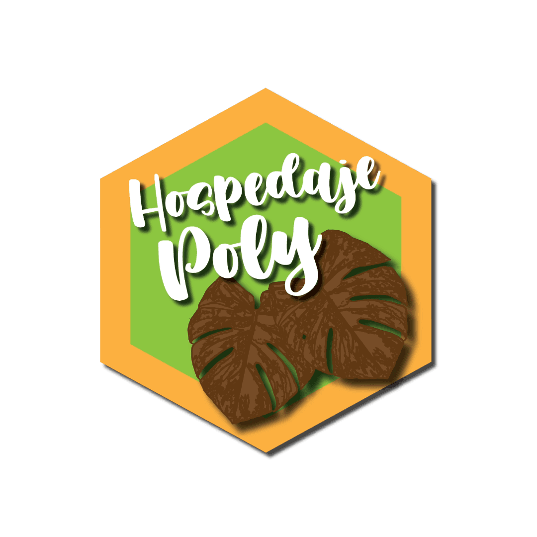 Hospedaje Poly